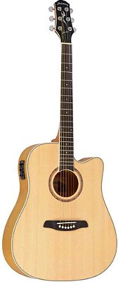 VIOLAO STRINBERG LONDON LE30C NS