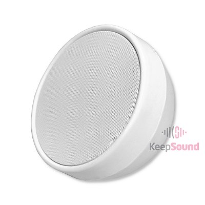 Caixa Para Sonorização de Ambiente Branca 120W BALL - MS AUDIO