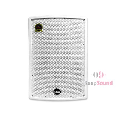 Caixa Passiva 150W 10 Polegadas Branca TP 10 - LEACS