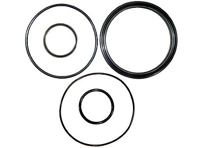 Kit Reparo Pistão Hidráulico Caçamba 6" Mercedes CORAL RSO600 - 0009986643
