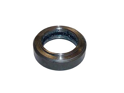 Rolamento para Manga de Eixo Mercedes Axor - 0029814118