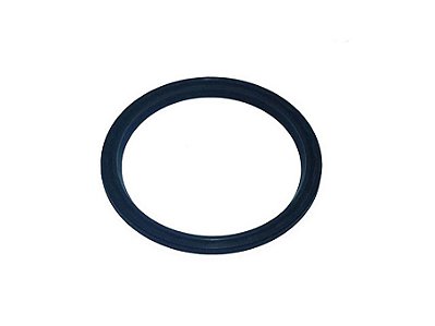 Retentor do Cubo de Roda Dianteiro Interno para Mercedes AXOR 1933/2533/2640/2035/2644/2040 - 0219978947