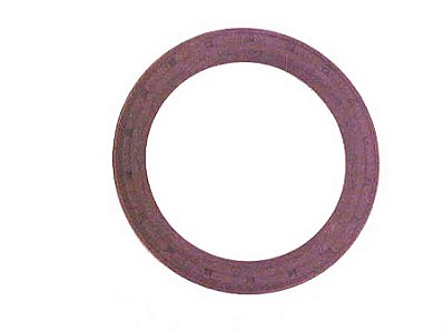 Retentor para Bloqueio do Eixo Traseiro Diferencial Mercedes 2635 - 0179973147