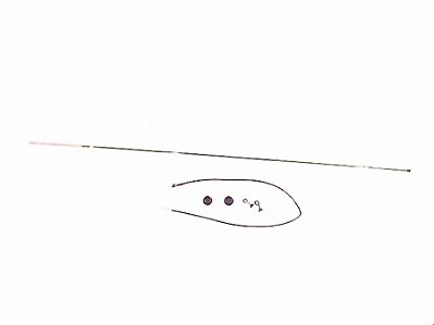 Antena de Fibra Verde 1,60 Metros para Caminhão Mercedes - 3468206475