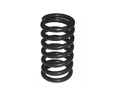 Kit Mola da Válvula de Admissão Original para Mercedes OM904/906/924/926 - 9060530120