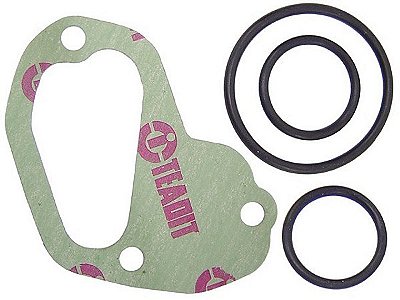 Kit Reparo Válvula Termostática para Motor Mercedes OM-0366 - 3662010004