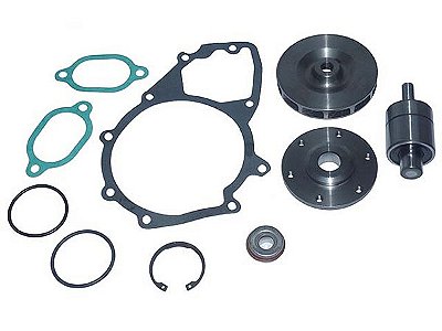 Kit Reparo Bomba d'Água com Rolamento e Rotor 125M para Mercedes OM447/1935/1941/AXOR OM457 6 Cilindros - 4222000204