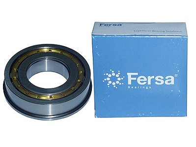 Rolamento Rolete 50X100X25Mm para Mercedes 1214C, OF1215 e G3.55 - 0079814701