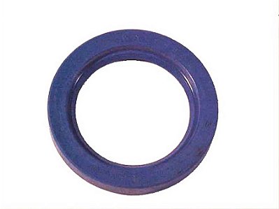 Retentor para Cubo de Roda Traseira 50X70X10mm - Sca T-112/R/T-113/R143/Ducato/Daily - 1104500