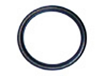 Retentor Interno para Roda Traseira Sca 110/111/L/LS110/141/T112 - 179360
