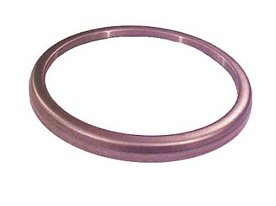 Protetor de Mancal com Mola para Scania 114/124/94 - 1386104