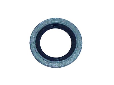 Kit Anel de Vedação da Flauta de Água Aço com Borracha para Sca P94/124 Eletrônico - 1374842