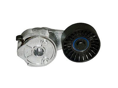 Tensionador de Correia com Polia em Nylon para Volks 9150E/17250E/24250E/13170E/15170E/8150 - 2R0145299
