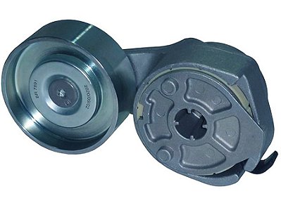 Tensionador de Correia com Polia em Ferro para Volks 9150E/17250E/24250E/13170E/15170E/8150 - 2R0145299