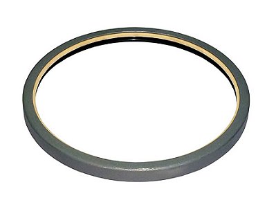 Retentor Externo da Roda Traseira 180X200X13,5M para Iveco STRALIS/EUROTECH/EUROTRAKKER - 42127773