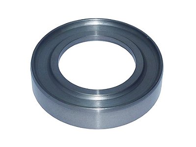 Anel Pista para Cubo Traseiro Iveco STRALIS, EUROTECH e Todos os Modelos - 7181972