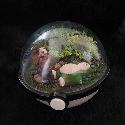 Paraíso com 2 Pokémons
