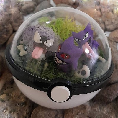 Paraíso com 3 Pokémons