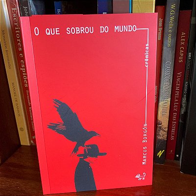 Livro: O que sobrou do mundo, de Marcus Borgón - Novo