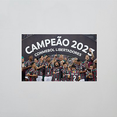 Ímã: Fluminense: Campeão da Libertadores 2023 - 5x8cm - Lacrado
