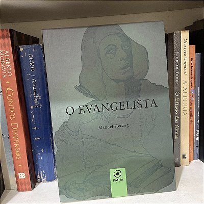 Livro: O evengelista, de Manoel Herzog - Usado
