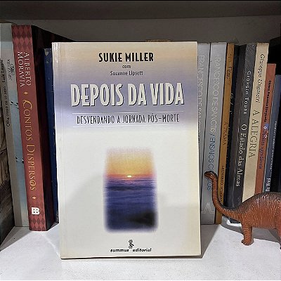 Livro: Depois da vida, de Sukie Miller & Suzanne Lipsett - Usado