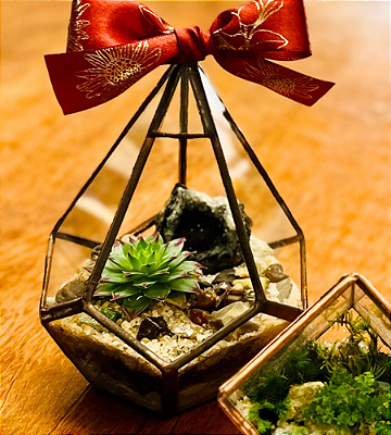 ARRANJO DE PLANTAS GEOMETRICO