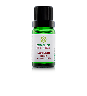 ÓLEO ESSENCIAL LAVANDIN GROSSO