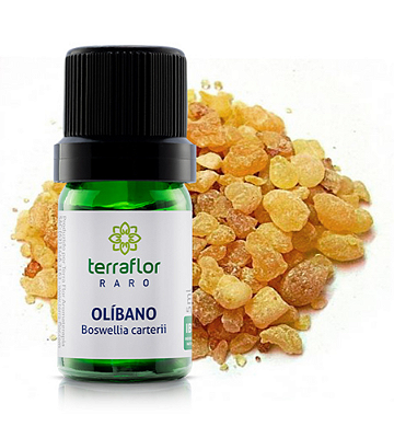 ÓLEO ESSENCIAL OLIBANO