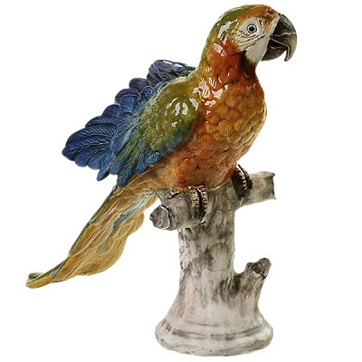 ARARA ARCO IRIS NO TRONCO