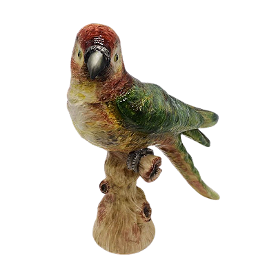 ARARINHA TB COLORIDA NO TRONCO