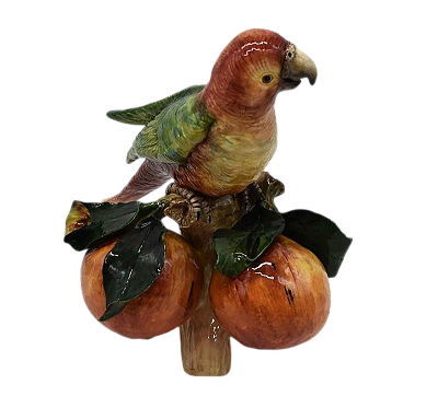 ARARINHA TB NO TRONCO DE LARANJA