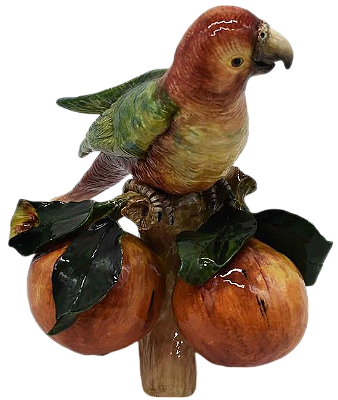 ARARINHA TB NO TRONCO DE LARANJA