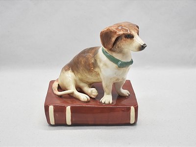 Cachorro Basset com livro