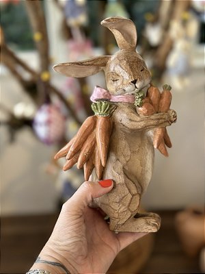 Coelhinho abraçado com cenouras