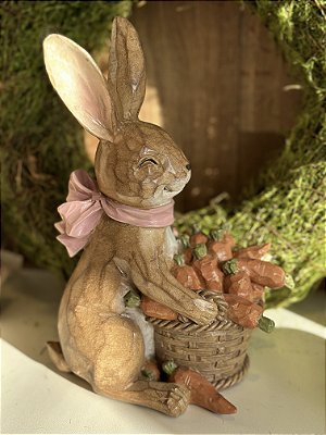 Coelhinho com cestinho de cenouras
