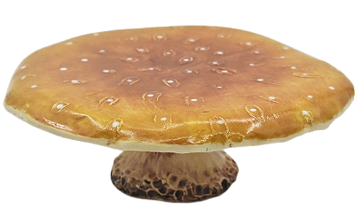 Prato de bolo Cogumelo amarelo