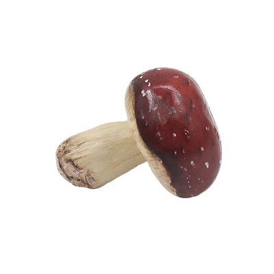 Cogumelo avulso vermelho