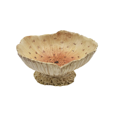 Petisqueira funda de Cogumelo P