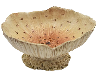 Petisqueira funda de Cogumelo P