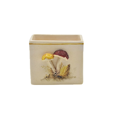 Porta adoçante de Cogumelos