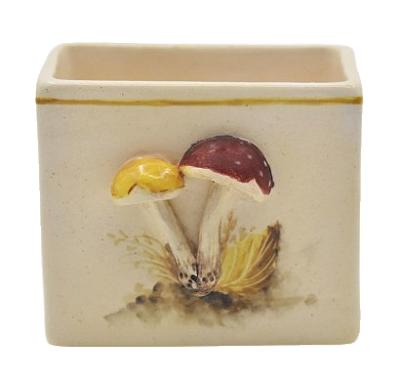 Porta adoçante de Cogumelos