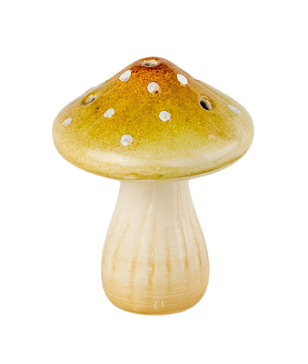 COGUMELO CHAMPIGNON AMARELO CLARO