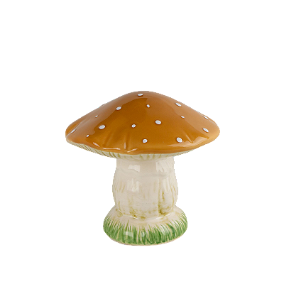 COGUMELO GRANDE MOSTARDA