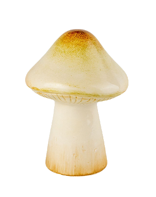 COGUMELO AMARELO CLARO