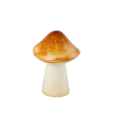 COGUMELO MEDIO MOSTARDA