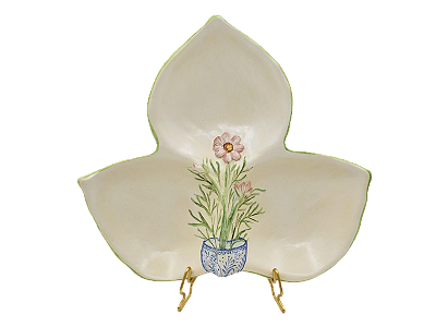 PETSIQUEIRA 3 FOLHAS COM APLICAÇAO DE COSMOS