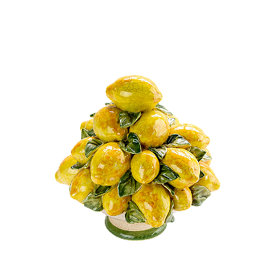 TOPIARIA DE LIMÕES SICILIANOS CRAQUELÊ