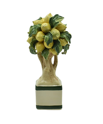 BONSAI PARA MINI FLOREIRA LIMÕES