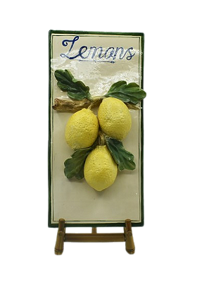 PLACA RETANGULAR DE LIMÕES